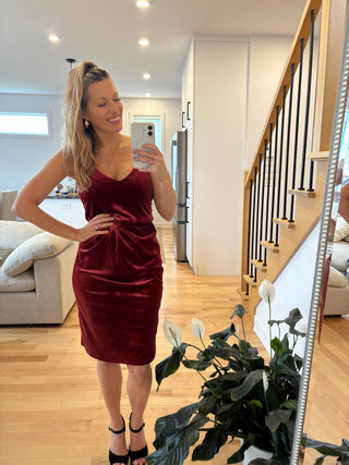 ABBEY dress - red velvet amour