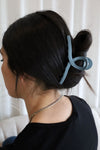 TRIO: 2 clips & mini scrunchie - floral blue